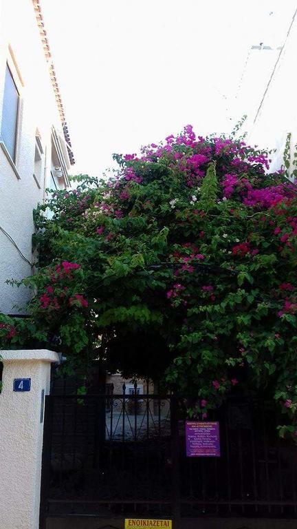Aegina'S Flowers House Экстерьер фото