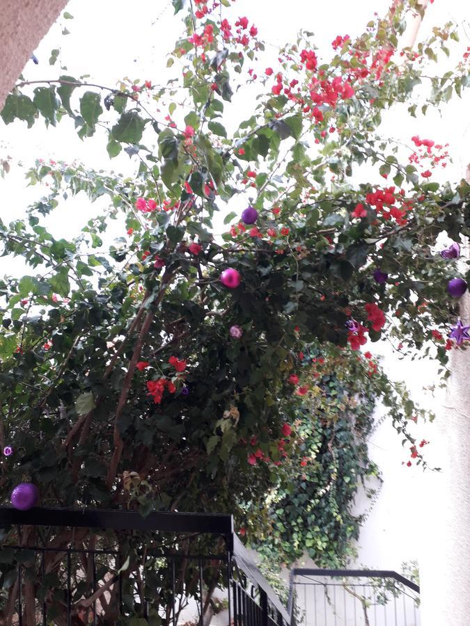 Aegina'S Flowers House Экстерьер фото