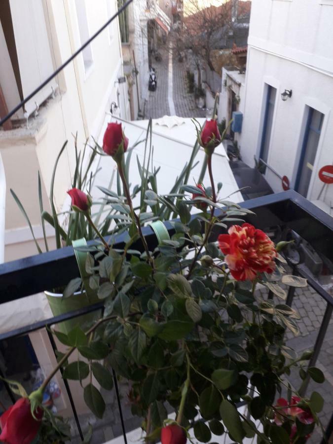 Aegina'S Flowers House Экстерьер фото