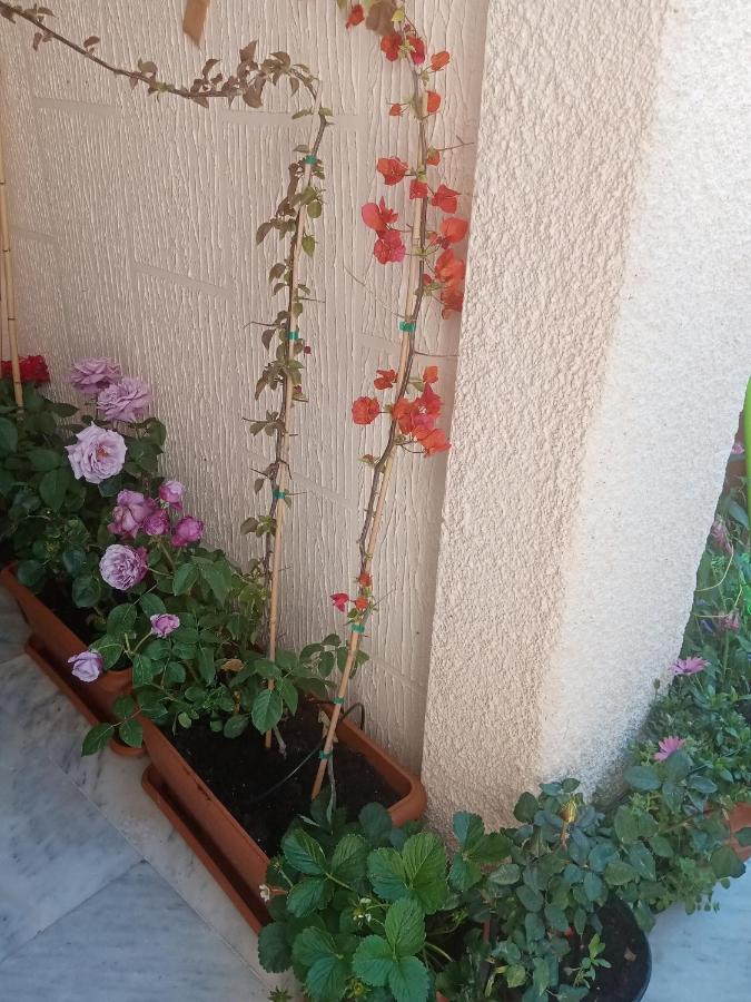 Aegina'S Flowers House Экстерьер фото