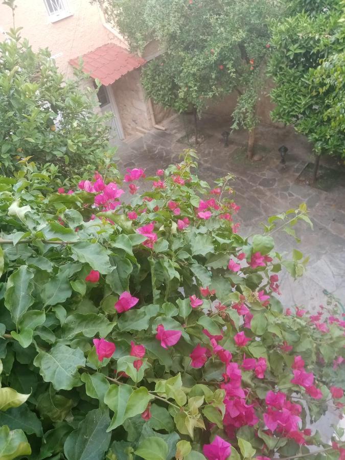 Aegina'S Flowers House Экстерьер фото
